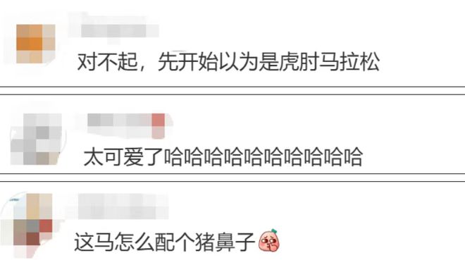 州马拉松吉祥物有趣麻将胡了模拟器福(图2)