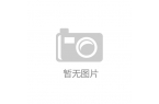 团感受“非遗版”春节 打卡特色“年味儿”